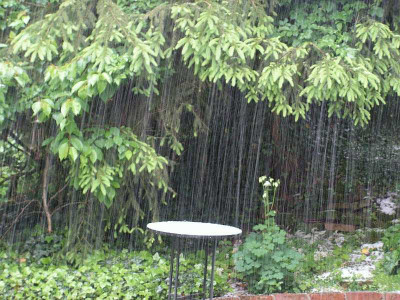Mai-Hagel2.jpg