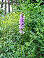 Toskana-Fluchtling.jpg