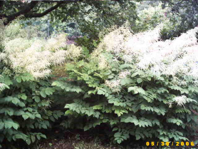 2006_0530Bild0015.JPG