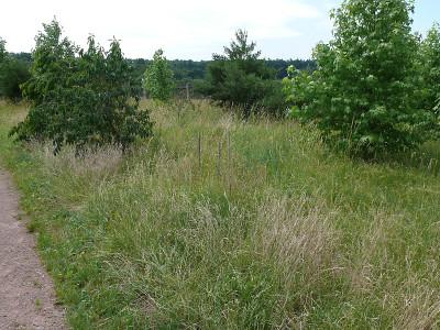 b1807658_800.jpg