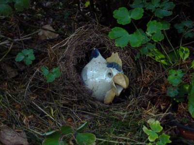 huhn.jpg