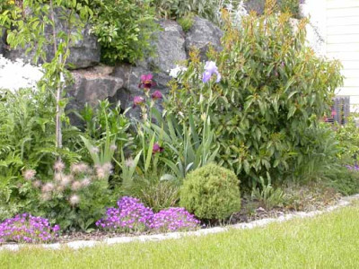 Garten_010.jpg