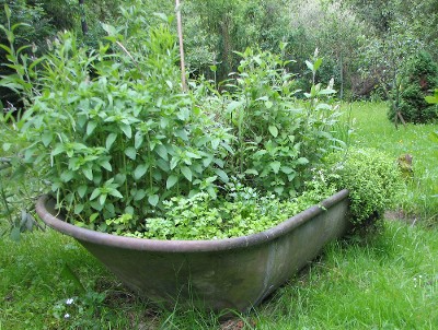 Krauterbadewanne31.0506_008.jpg