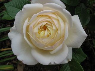 IMG_1173.JPG