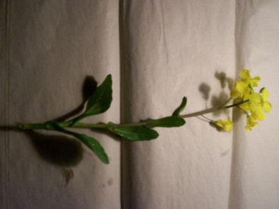 000_0473.jpg