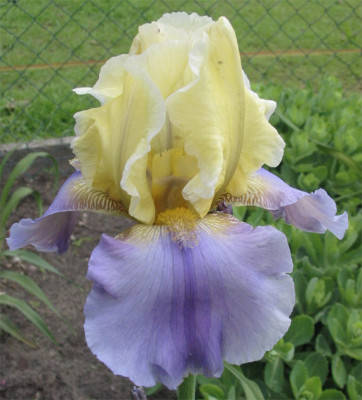 181-8171a_IMG.jpg
