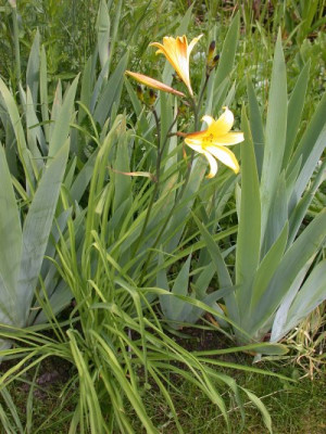 DSCN2223002.jpg