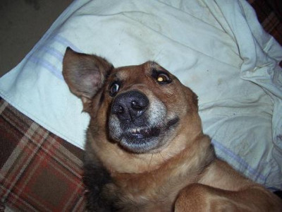 nelly32.JPG