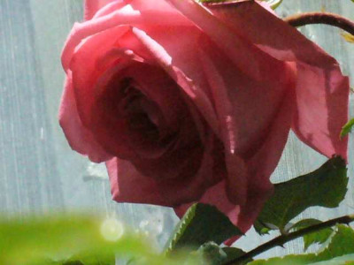 Bild_551.jpg