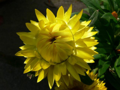 P1000003_Small.JPG