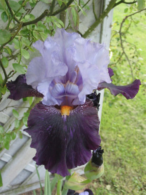 182-8244a_IMG.jpg
