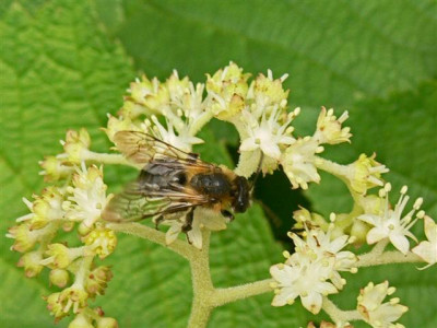 P1000352_Small.JPG