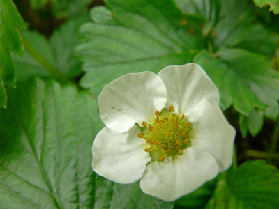 P1000360_Large.JPG