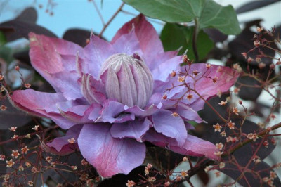 DSCN5478.JPG