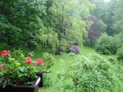 Pfingstregen06.jpg