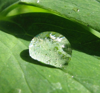 Glitzertropfen6.06.06_025.jpg