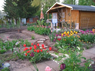 garden.jpg