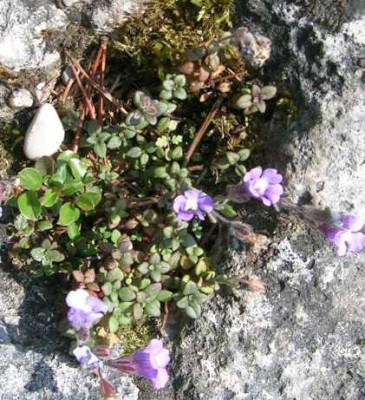 DSCN4318.jpg