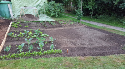 gemuesegarten2.jpg