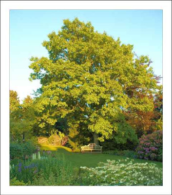 Gartenansichten_1_11-06-2006.jpg