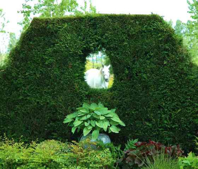 Gartenansichten_1_04-06-2006.jpg