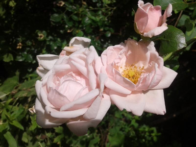 20150724_131358.jpg