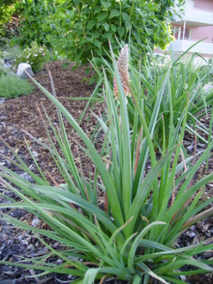 PICT0923.JPG