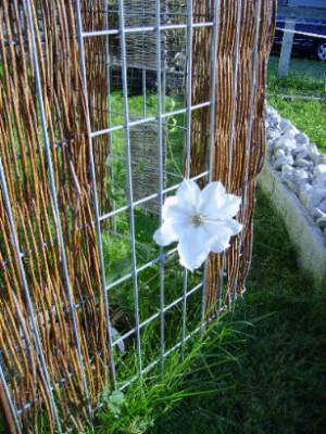 PICT0914.JPG