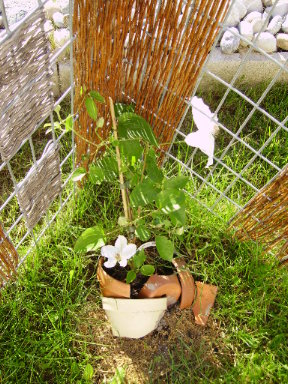 PICT0927.JPG