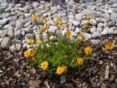 PICT0911.JPG