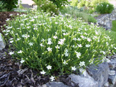 PICT0922.JPG