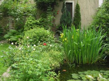 gartenbild.JPG