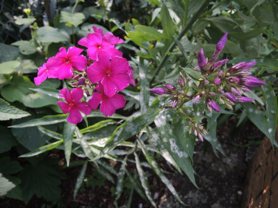 DSCN7889_833.JPG