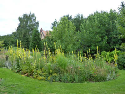 2015-07-25 Gräserbeet 1.jpg