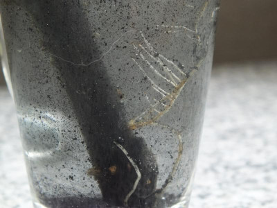 DSCF5183 1.JPG