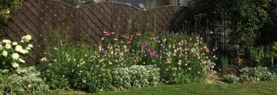 23072015 garten 2.png