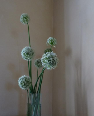 tg_150725_1.jpg