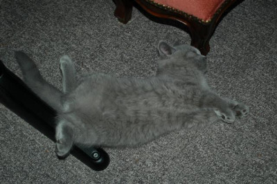A0275_Small.JPG