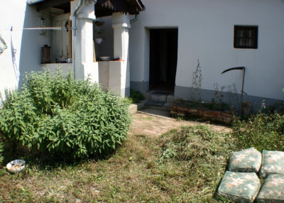 Salbei.jpg