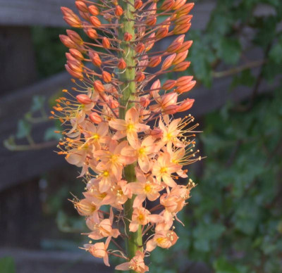 DSCF2560.jpg