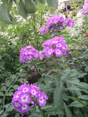 DSCN7928_843.JPG