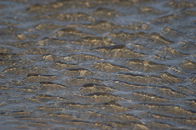 priel1_040530_2_13.jpg