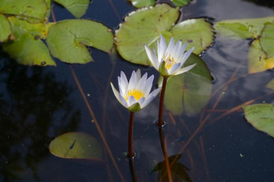 K800_005.JPG