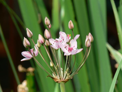 P1010127_Large.JPG