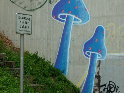 dienstweg.jpg