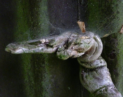 wächter.jpg