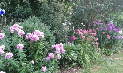 20150728_084622.jpg
