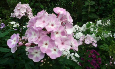 20150728_084417.jpg