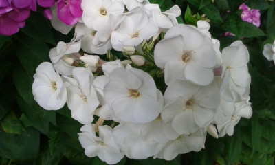 20150728_084457.jpg