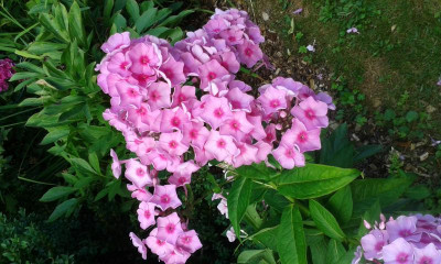 20150727_141641.jpg